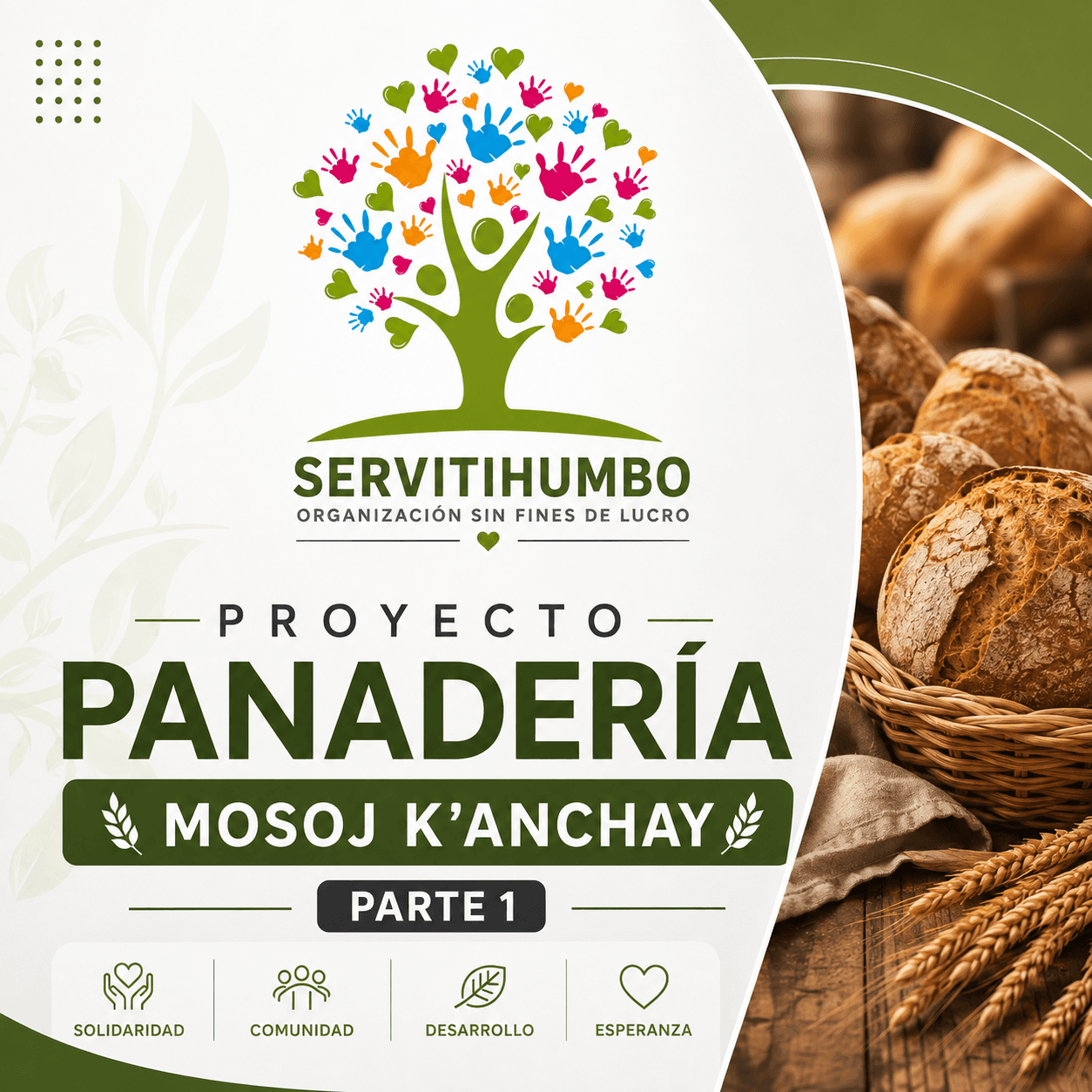 Carátula MOSOJ K’ANCHAY